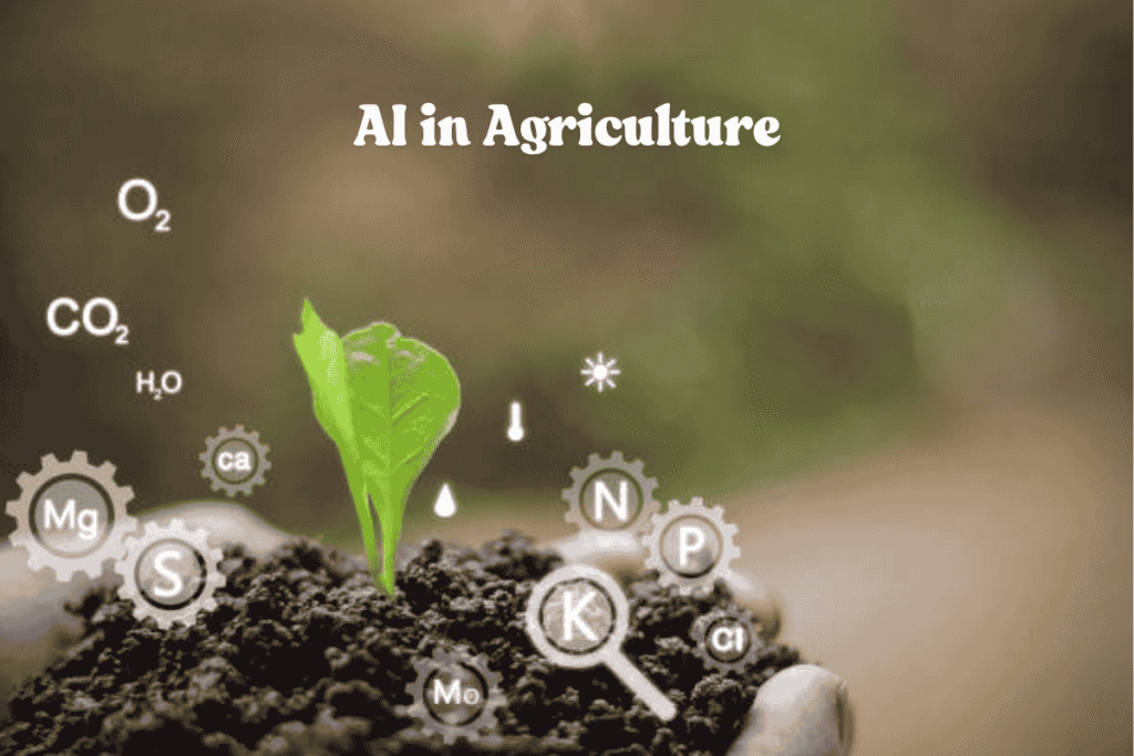 AI in Software Development 6